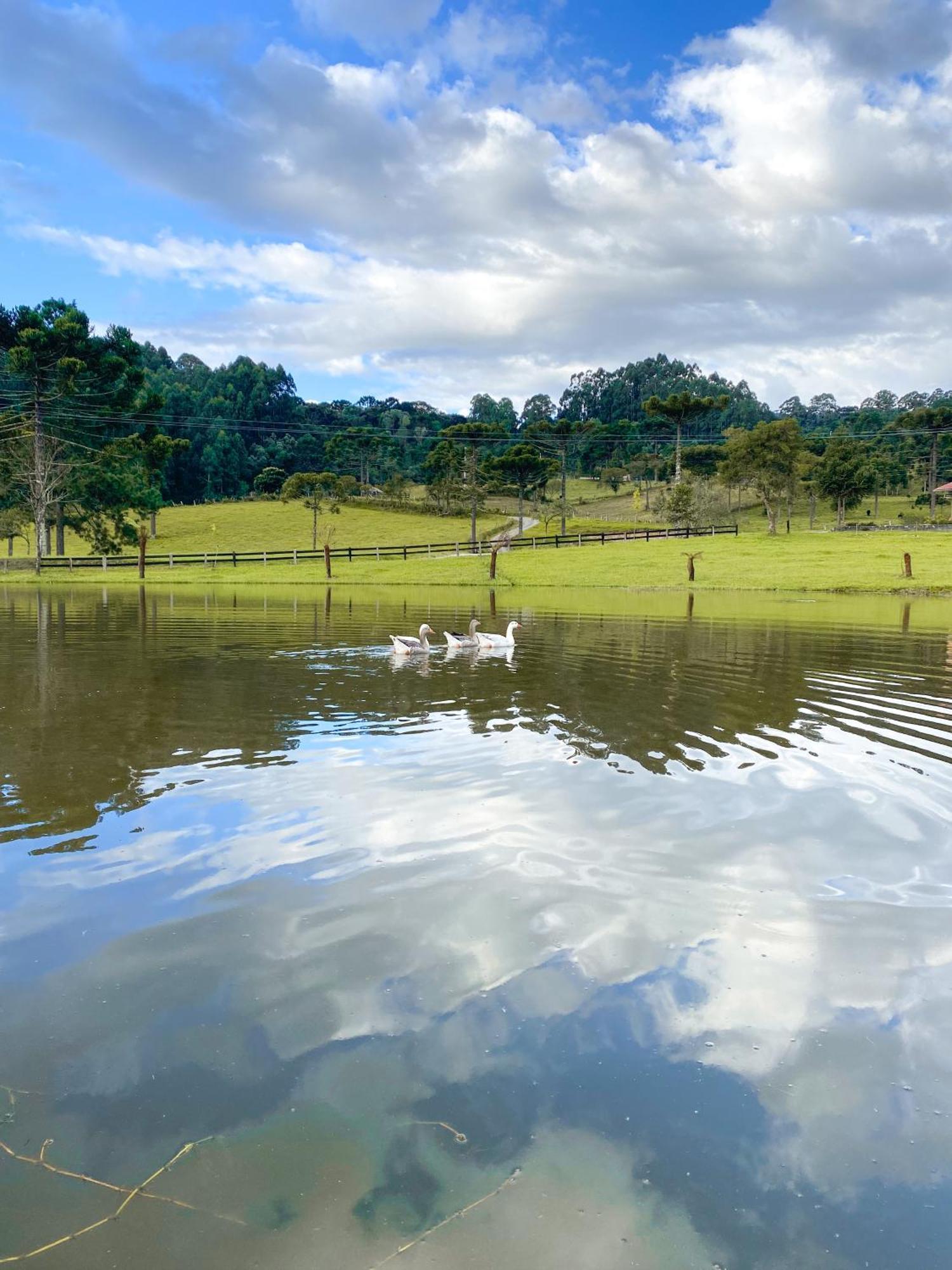 Pousada Rural Pavao - Suites E Chales Urubici Extérieur photo